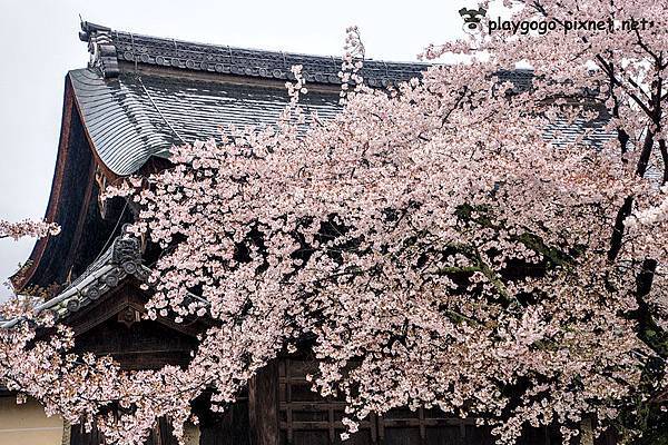 嵐山天龍寺4