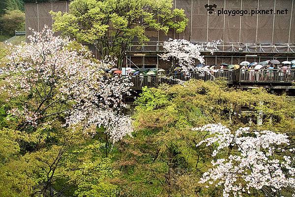 清水寺 (14)