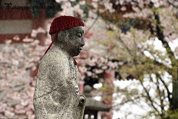 清水寺 (9)