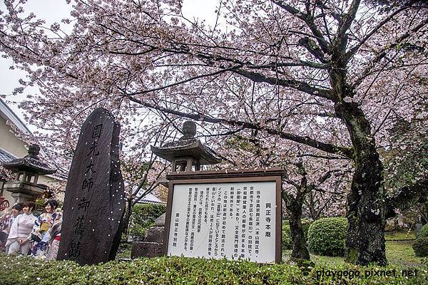 圓山公園 (5)