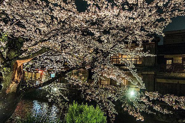 祉園白川 (8)