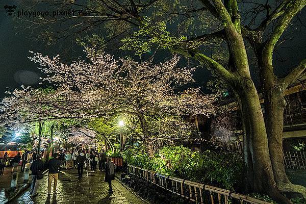 祉園白川 (9)