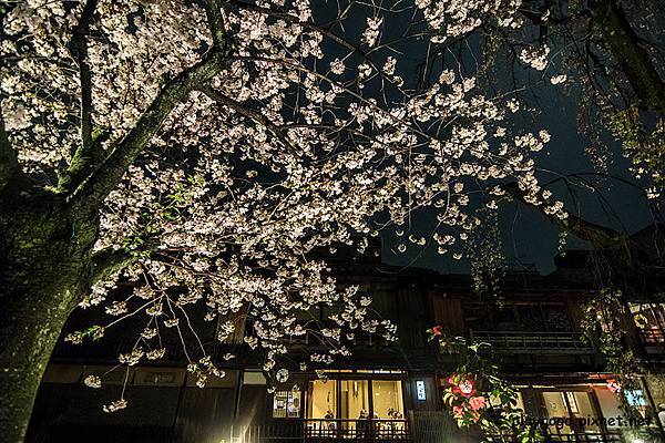 祉園白川 (10)