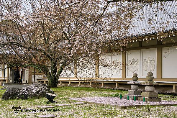 醍醐寺 (12)