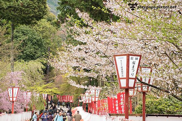 醍醐寺 (20)