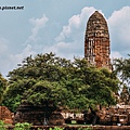 大城 普蘭寺  Wat Phra Ram  (3).jpg