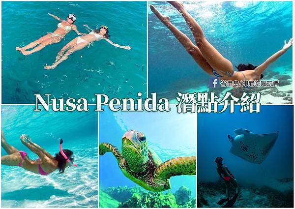 峇里島 - 佩尼達島 Nusa Penida 一日遊全攻略：