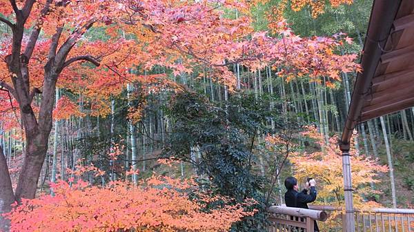 0103《天龍寺》 (23)