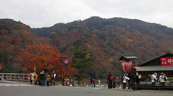 0115《嵐山》渡月橋 (9)