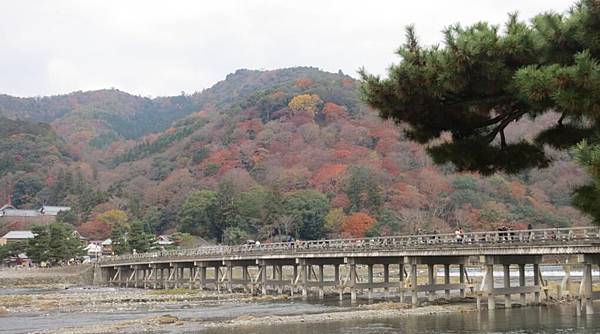 0115《嵐山》渡月橋 (17)