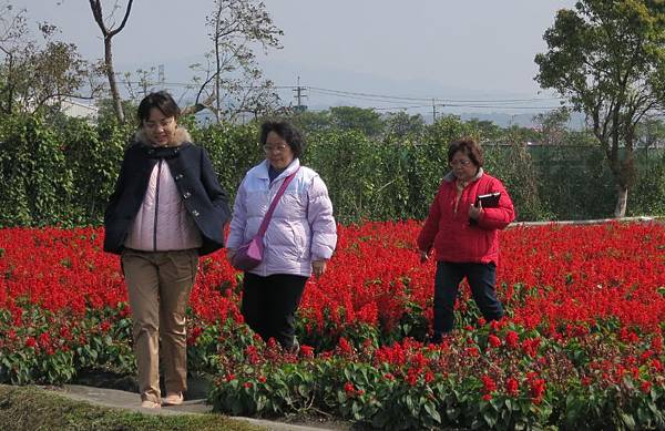 0408《中社觀光花市》 (27)