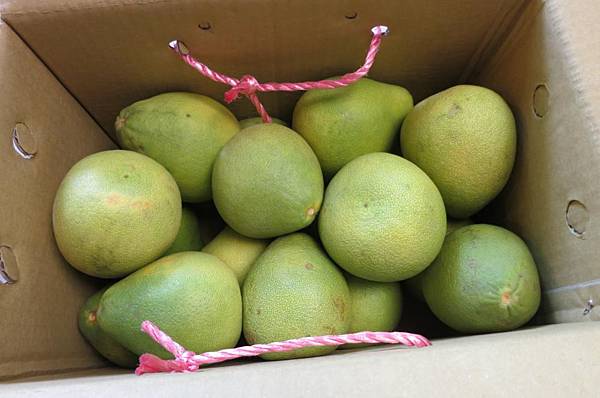 0905《中秋節》文旦 (17).JPG