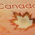 1004《加拿大幣》 (38).JPG