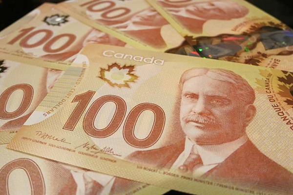 1004《加拿大幣》 (9).JPG