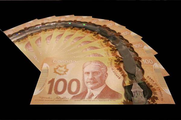 1004《加拿大幣》 (10).JPG