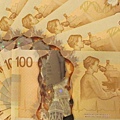1004《加拿大幣》 (11).JPG
