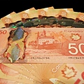 1004《加拿大幣》 (18).JPG