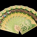 1004《加拿大幣》 (21).JPG