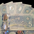 1004《加拿大幣》 (33).JPG