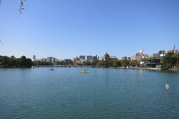 0513《福岡城の桜》舞鶴公園 (4).JPG