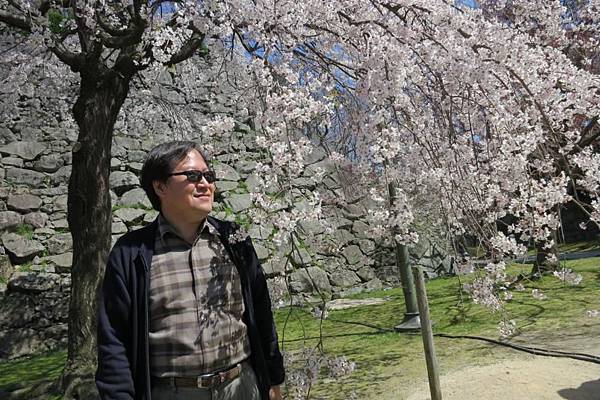 0514《福岡城の桜》大濠公園.JPG