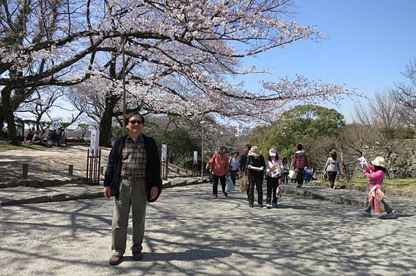 0514《福岡城の桜》大濠公園 (13).JPG