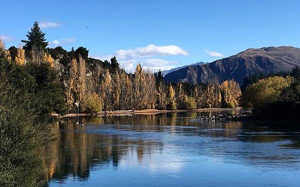 0919《Lake Wanaka Track》得意 (14).jpg