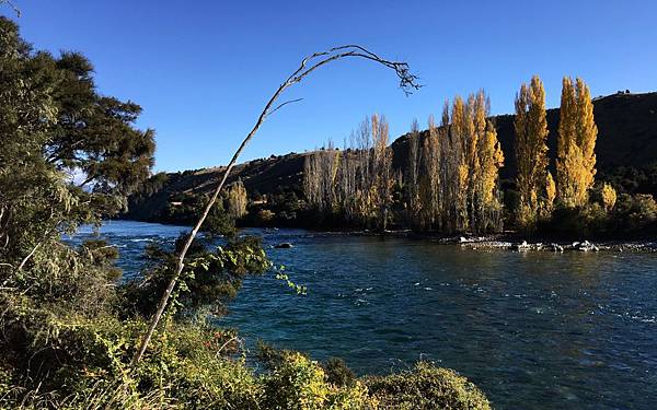 0921《Lake Wanaka Track》 (11).jpg