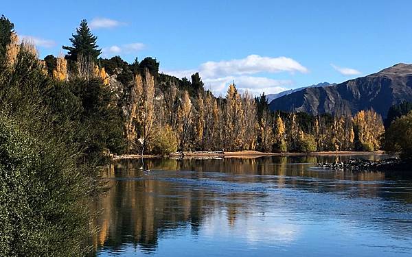 0921《Lake Wanaka Track》 (19).jpg