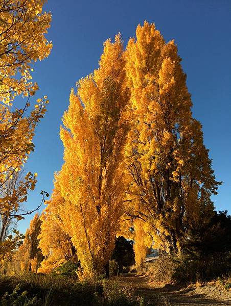 1009《瓦納卡湖濱渡假村》 (13).jpg