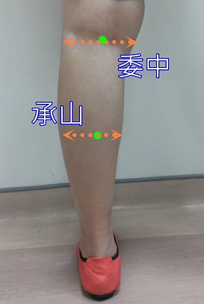 0705委中承山.jpg 0705委中承山.jpg
