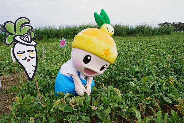 0705拔蘿蔔.JPG 0705拔蘿蔔.JPG