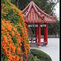 蓮華寺_04.jpg
