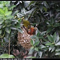 Bird hatch2_03.jpg