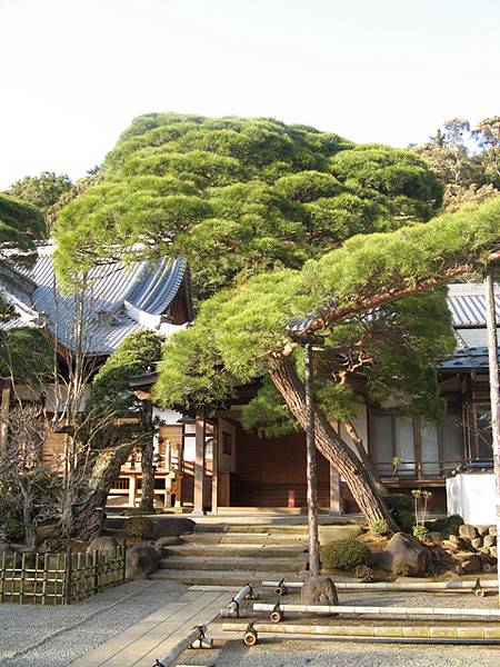 1129040340-修禪寺  天氣非常好喔.jpg