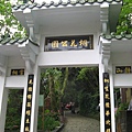 1135783690-2007_4月-土城桐花.jpg