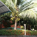 IMG_8103