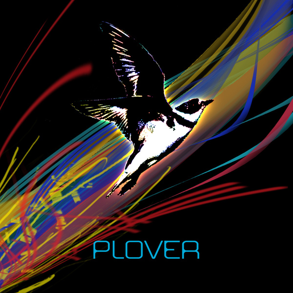 PLOVER-LOGO-J-VERSION-1.jpg