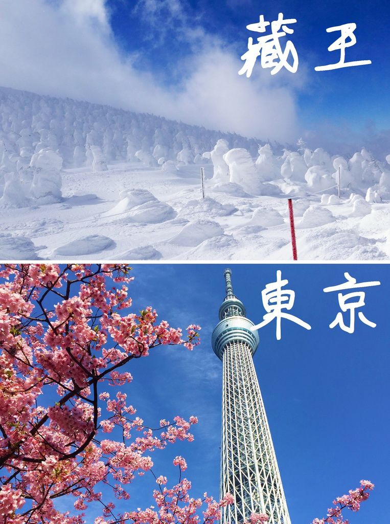 4.山形、東京 4.山形、東京