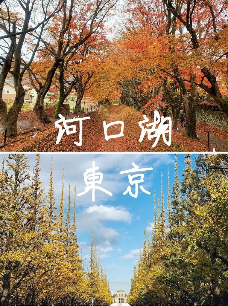 12. 河口湖、東京