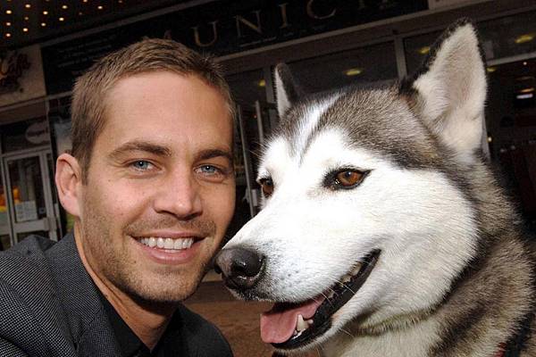 Paul-Walker-Dead-2871369.jpg