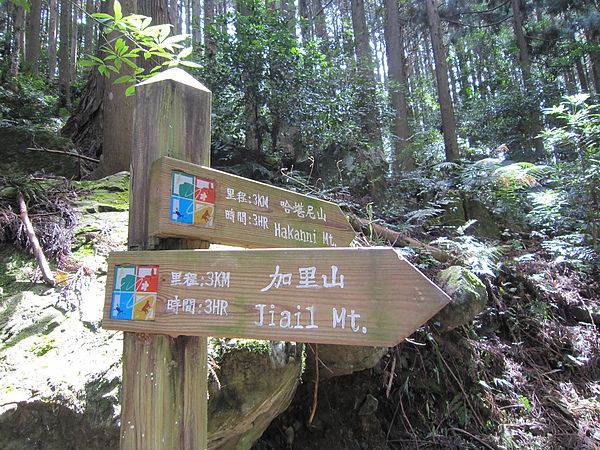 苗栗加里山~只有3km, 只要花3hr  (os: 小case)