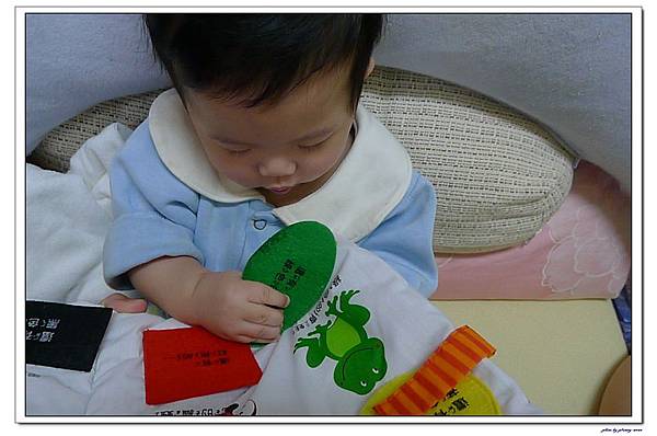 趣味有聲動物布書 (12).jpg