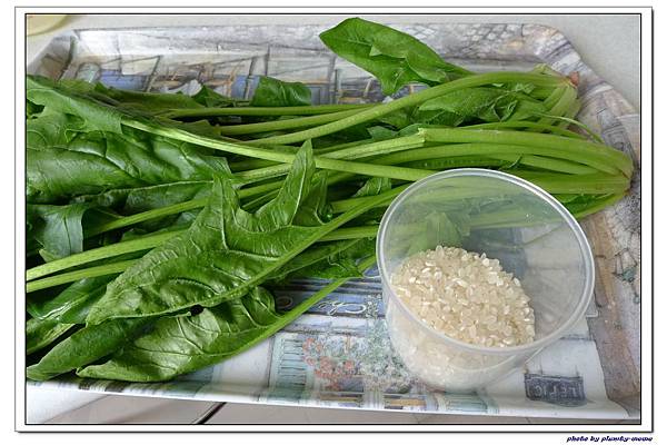 副食品-菠菜.jpg 副食品-菠菜.jpg