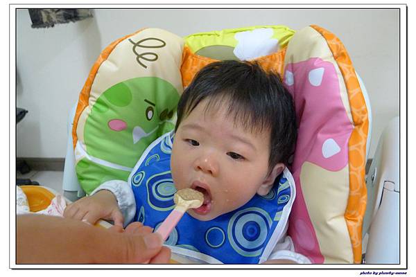 副食品-蔬菜蘋果豬肉五穀米糊 (18)