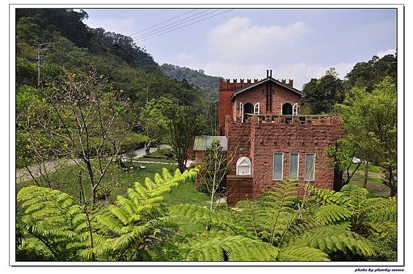 【苗栗】漫步雲端 (7)