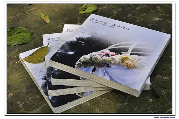 【苗栗】漫步雲端 (117) 【苗栗】漫步雲端 (117)