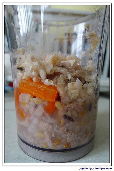 副食品-鱸魚五穀粥 (34)