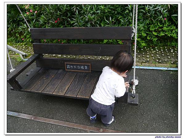 台中薰衣草森林 (84)