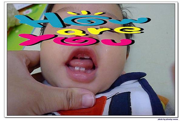 小白4號冒出頭-1